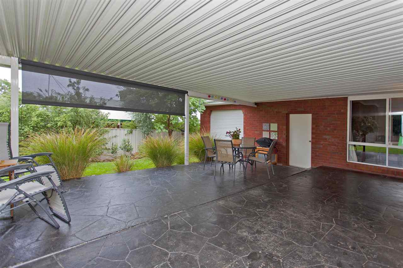 resized-2349823-edit11 kingfisher 43.JPG